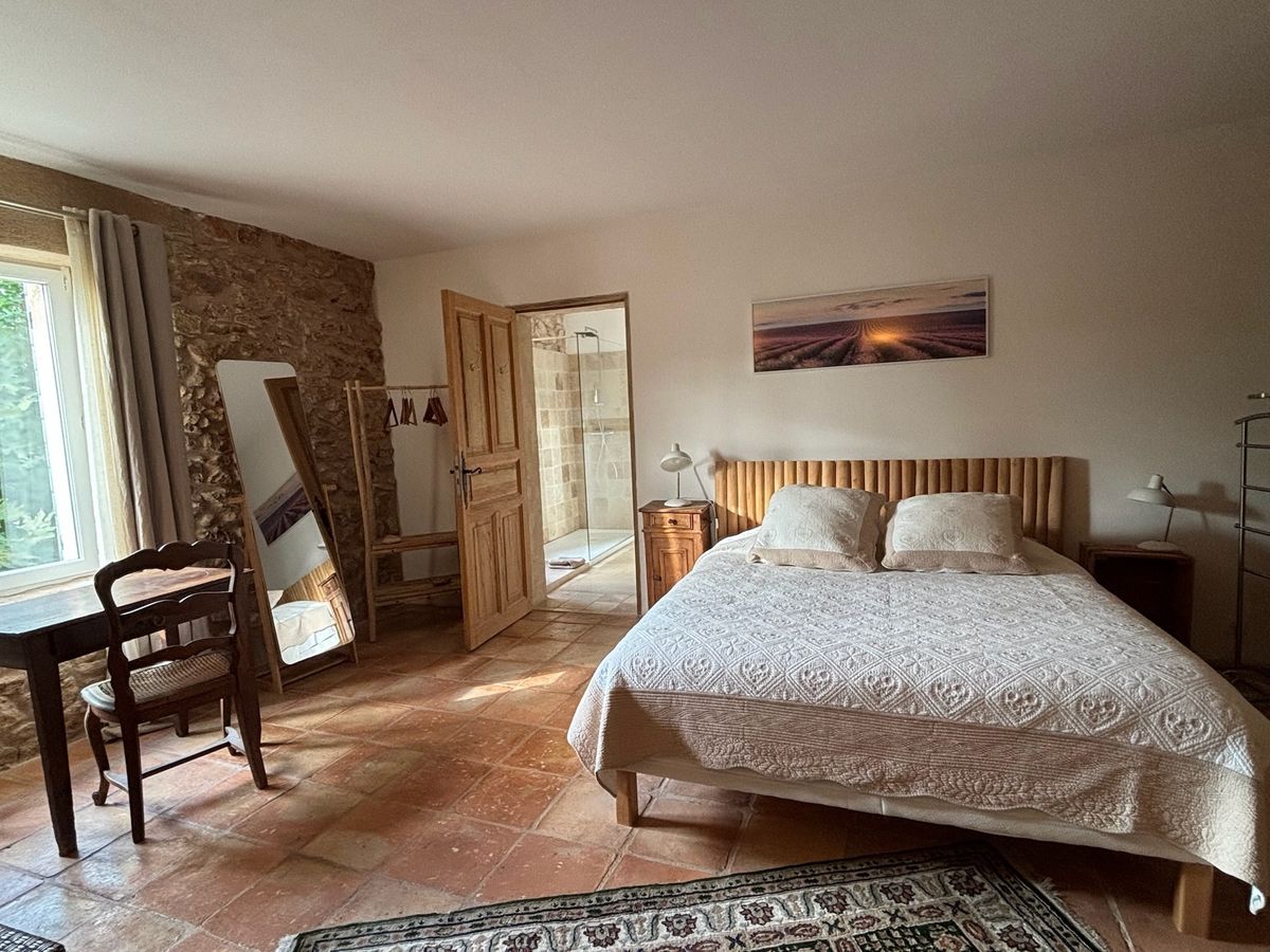 Room 1: double bed, desk, full-length mirror and the door open onto the shower room.