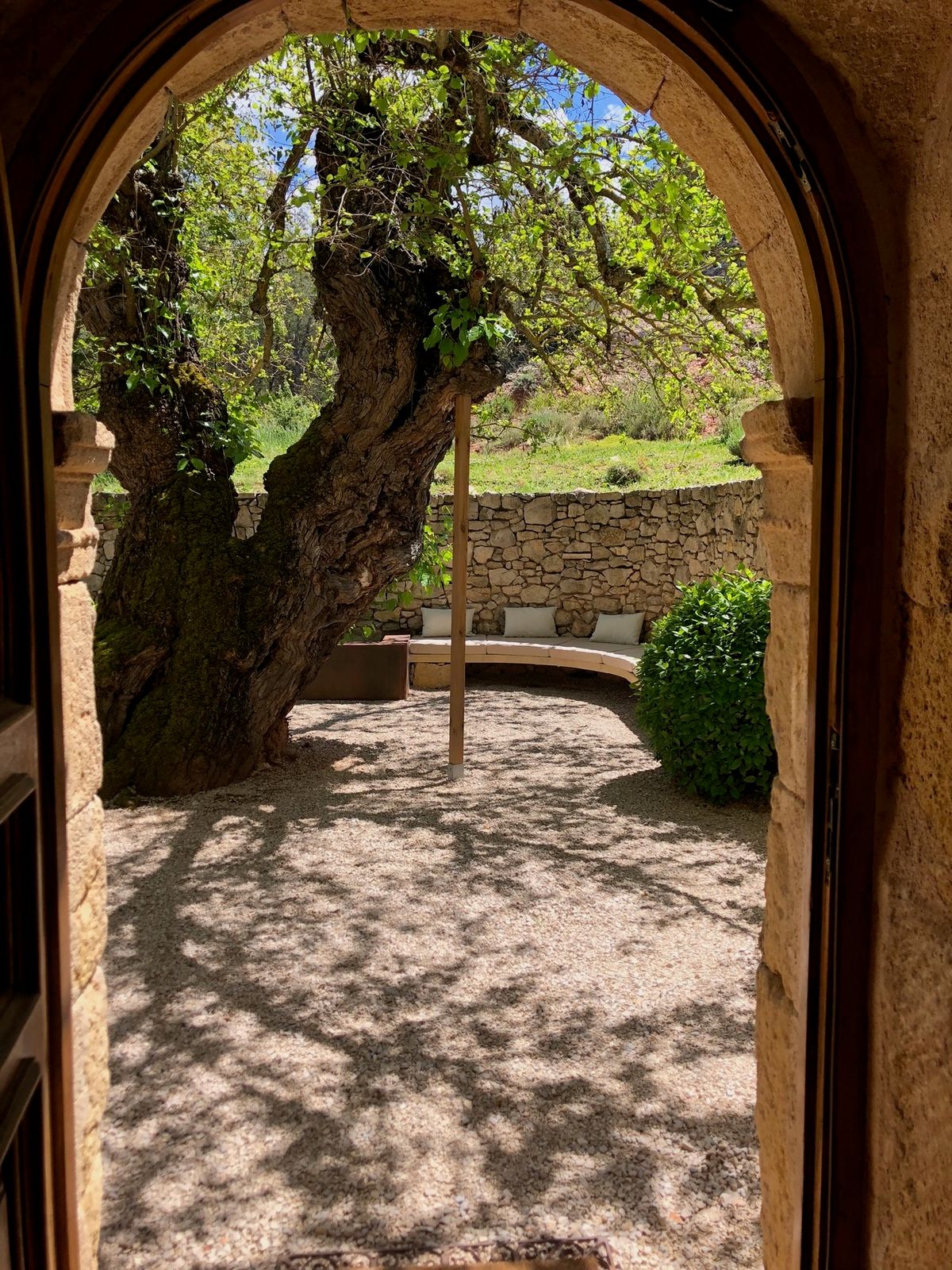 The mulberry trunk and the courtyard, seen through a stone arch from inside the house.