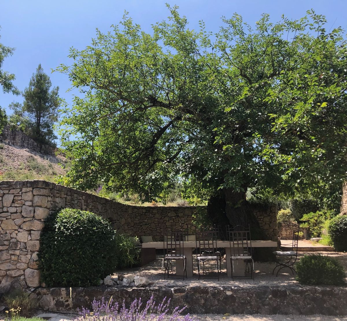 La cour à l’ombre du mûrier, fermée par le mur de pierre sèche, avec la table de pierre.