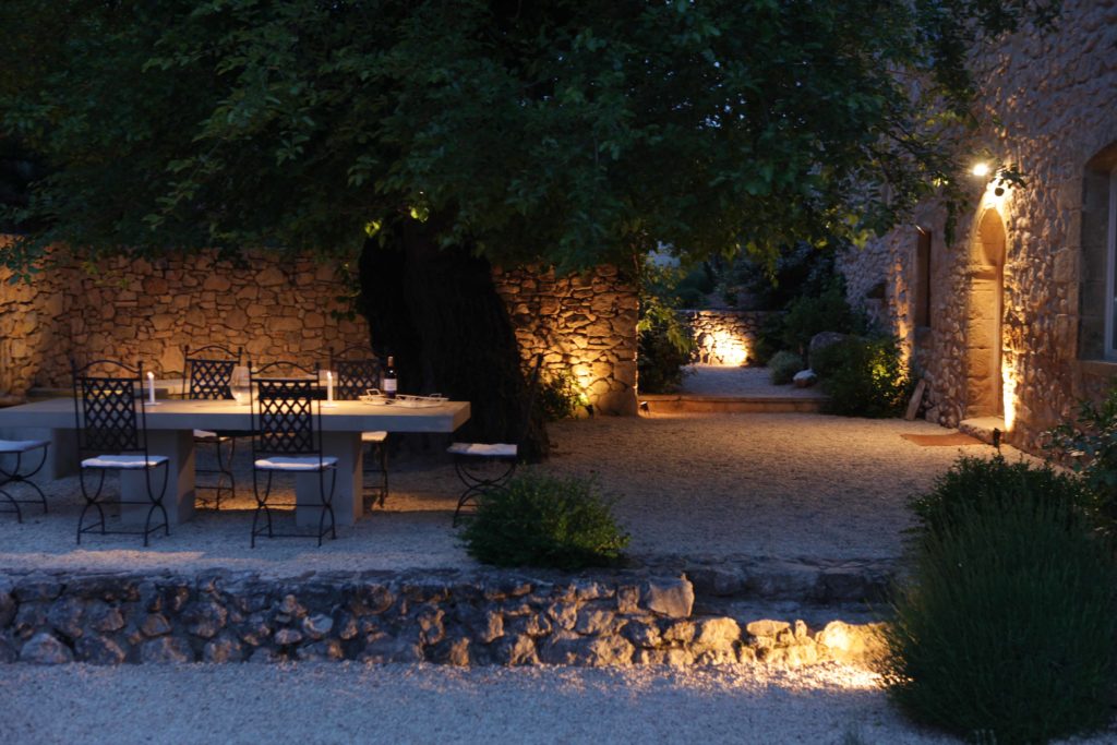 olive tree views at night