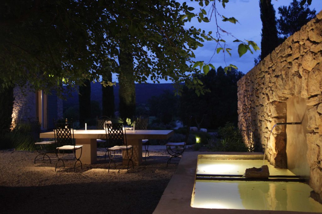 olive tree photos at night