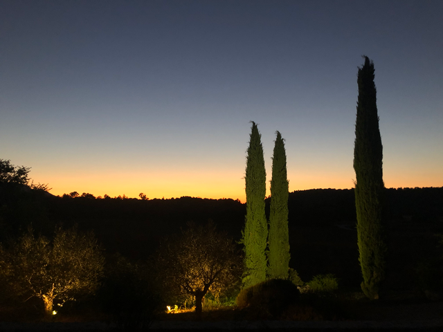 sunset